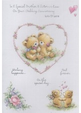 To A Special Brother & Sister-in-Law On Your Wedding Anniversary Lots Of Love